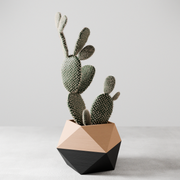 ICO Planter product photo for an indoor plant corner guide
