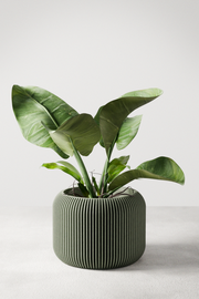 Orbis Planter