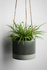 Hanging Sakura Planter
